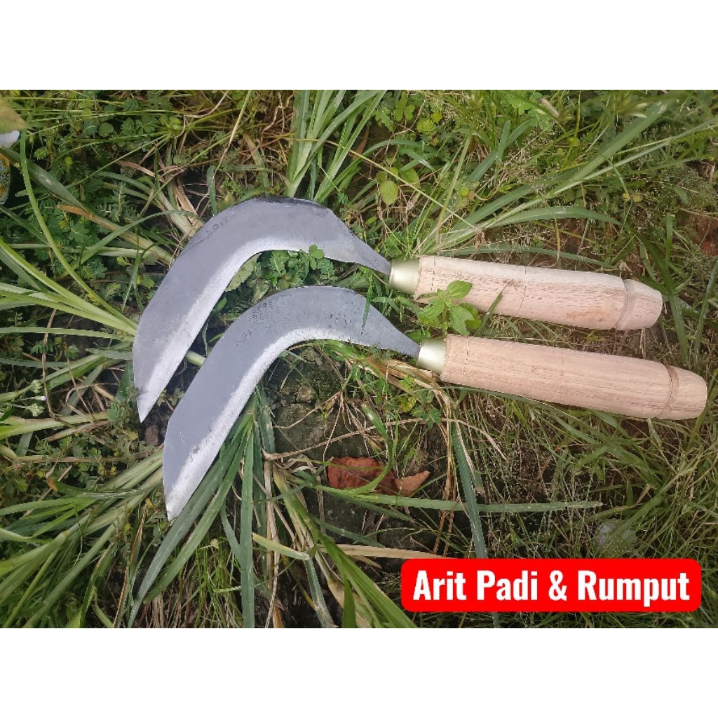 Arit - Sabit Padi Dan Rumput Bahan Baja Super Tajam