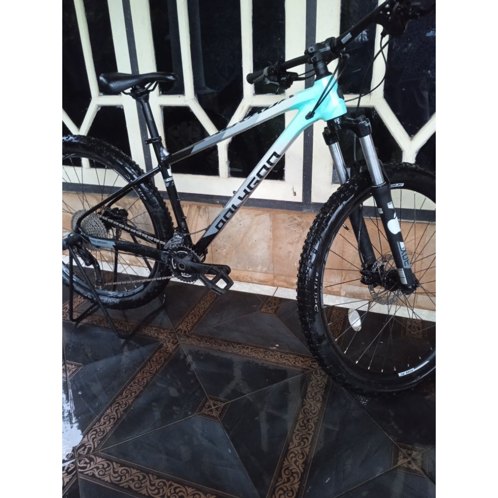 polygon xtrada 5 2021