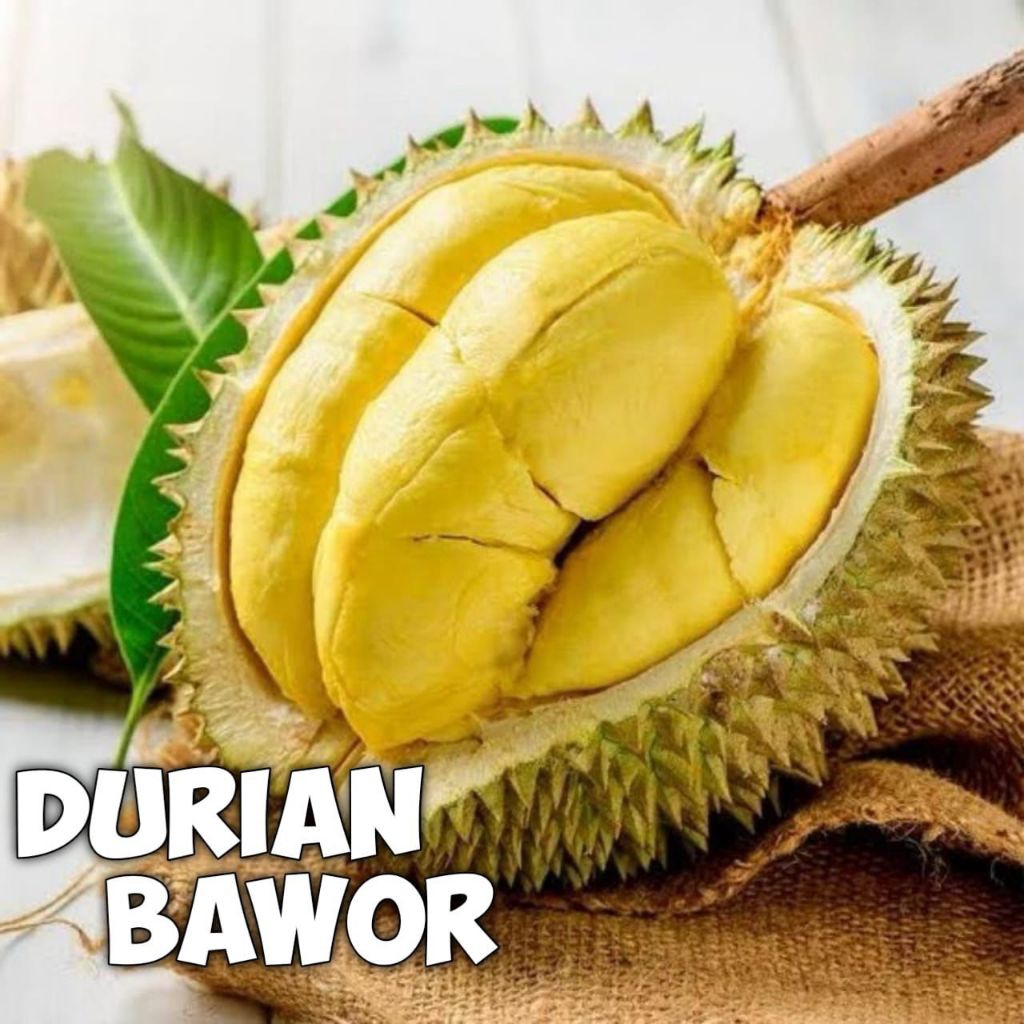 Durian Bawor Utuh Bulatan Fresh Premium