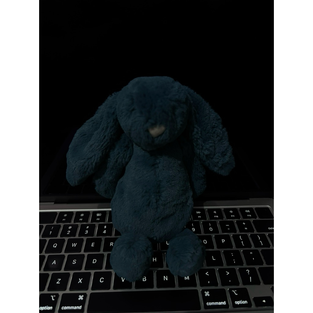 preloved jellycat bashful bunny teal small no tag