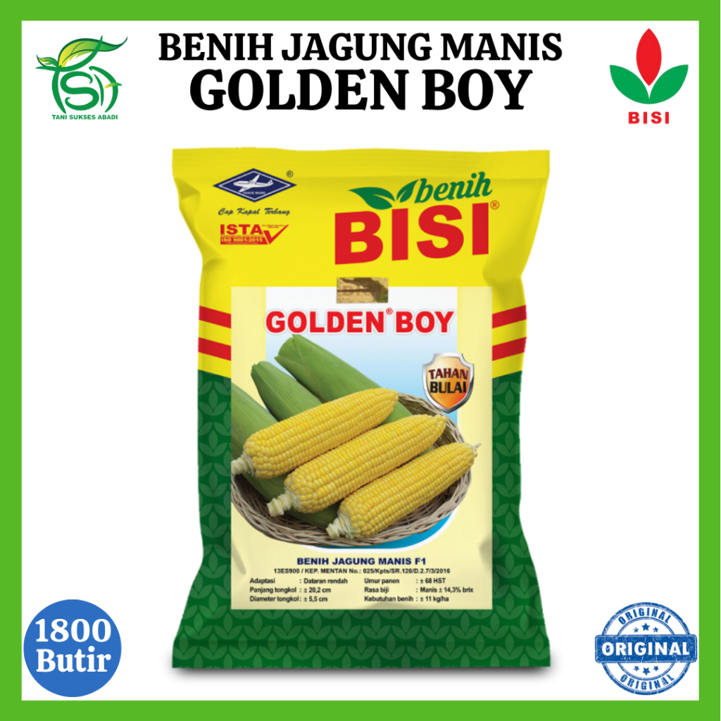 Benih Jagung Manis GOLDEN BOY (1800 Biji) - Bibit Hibrida F1 BISI