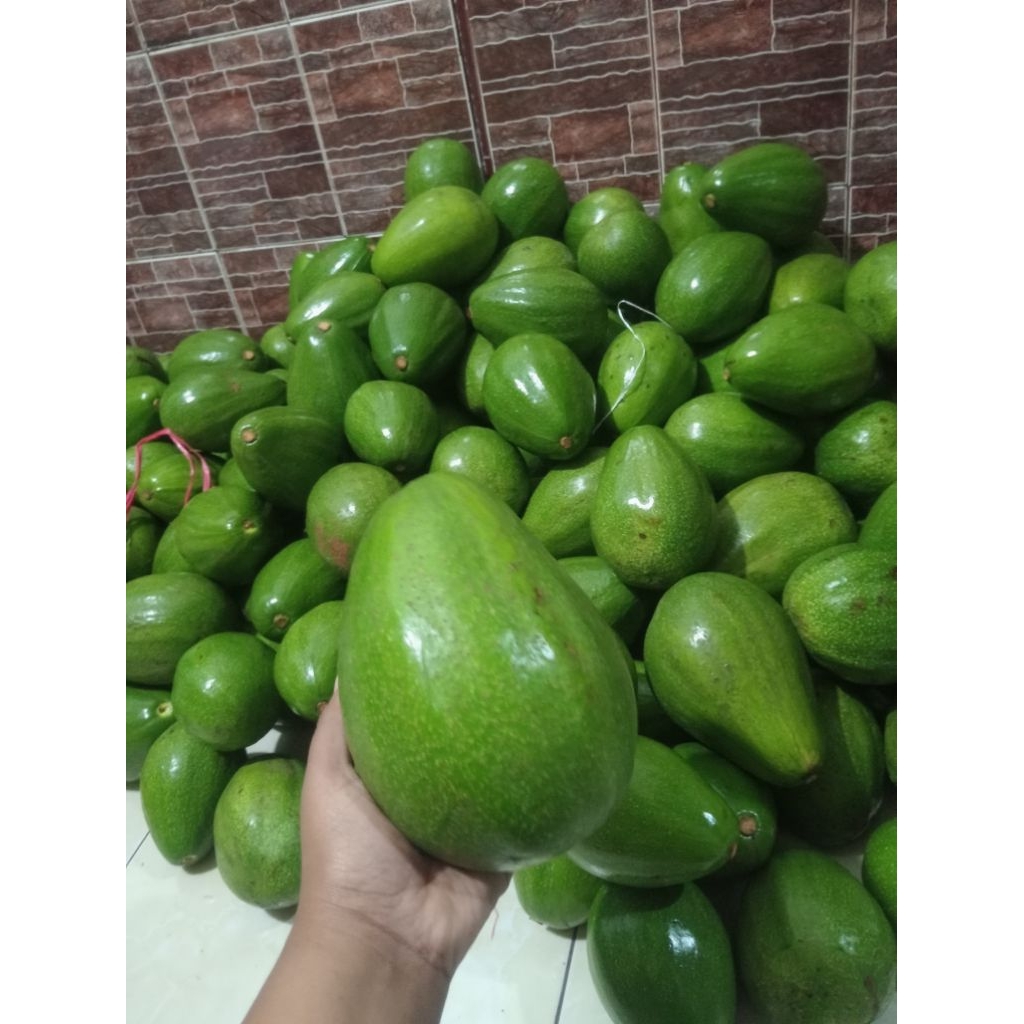 apukat mentega