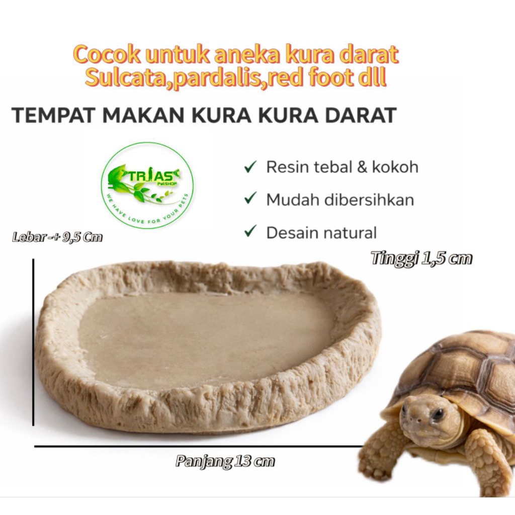Tempat Makan Kura Kura Darat Resin Tebal | Sulcata Pardalis Aldabra
