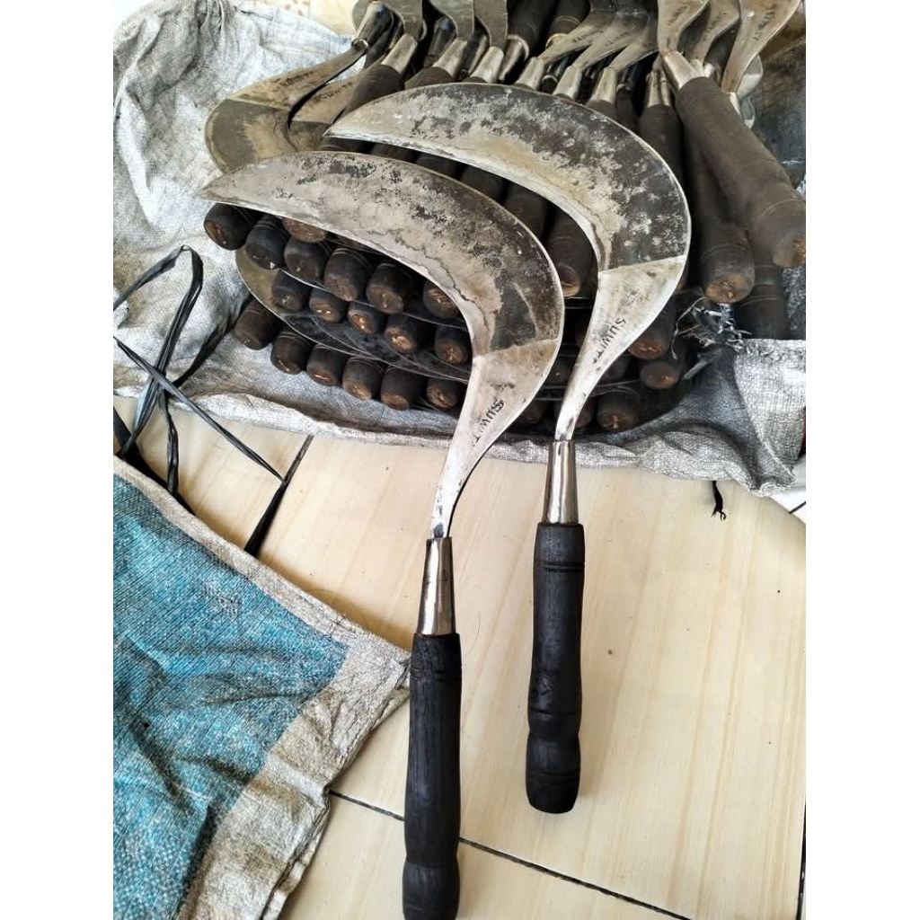 sabit iseh wojo asli super tajam