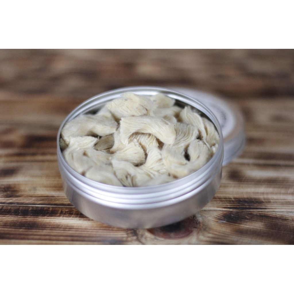 TIDER SURVIVAL BUSHCRAFT