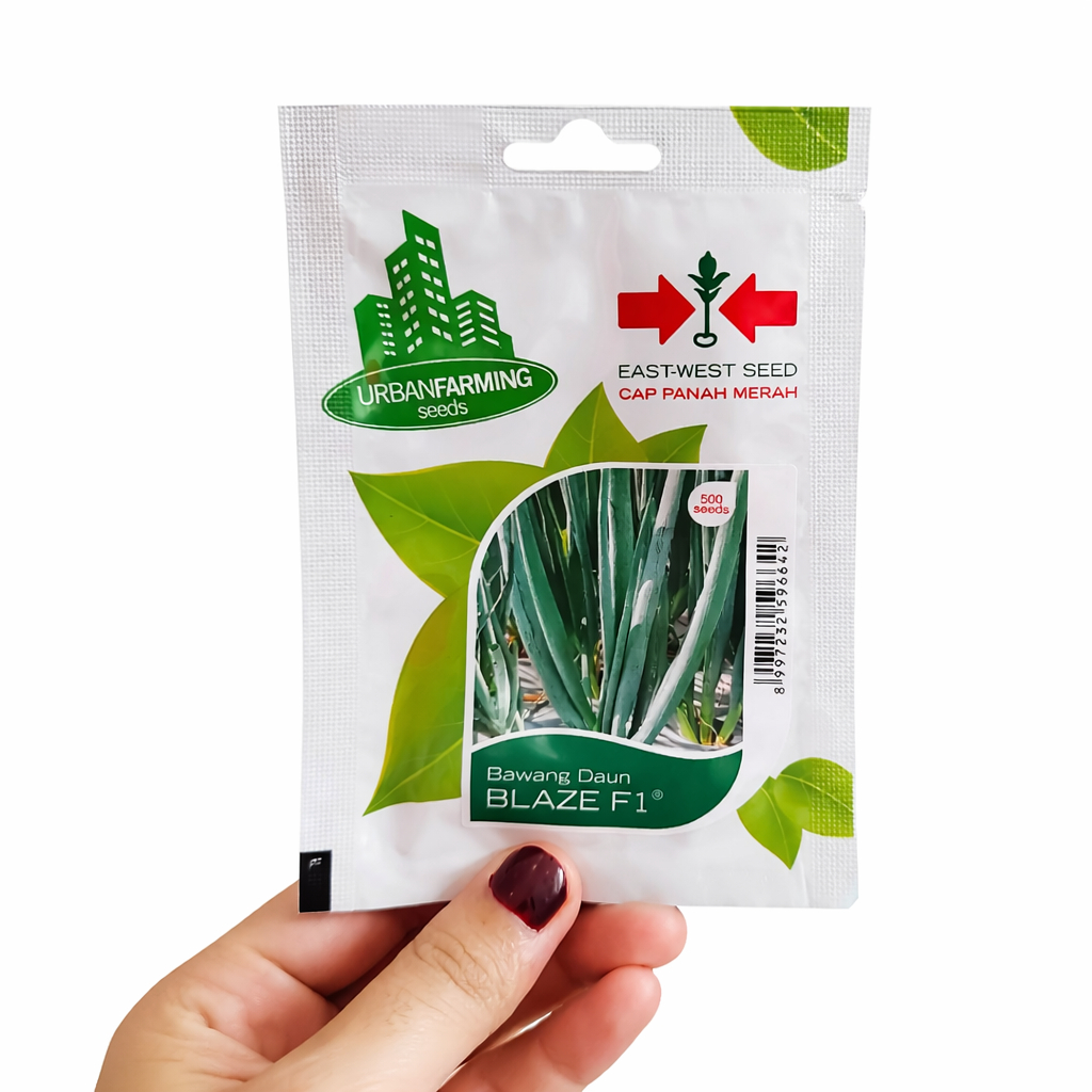 BENIH BAWANG DAUN CAP PANAH MERAH