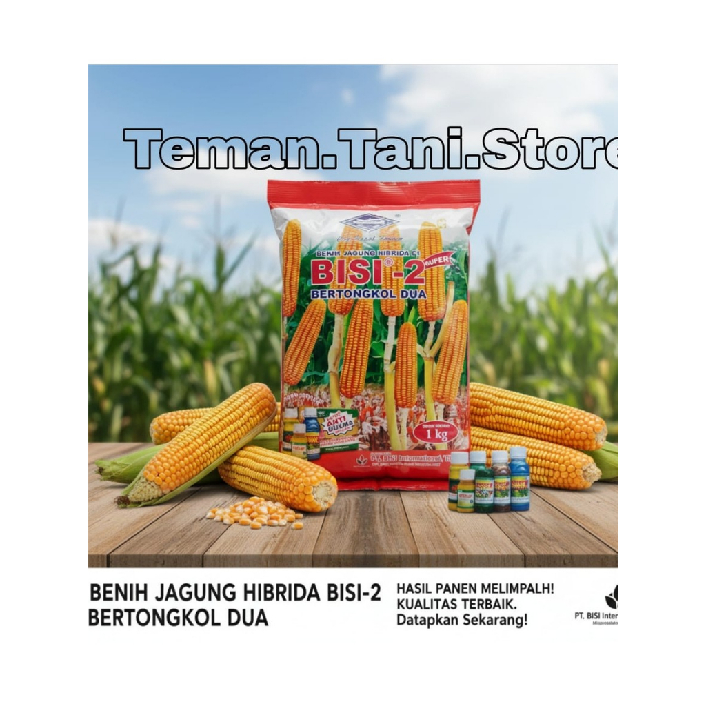 BENIH Jagung Hibrida BISI 2