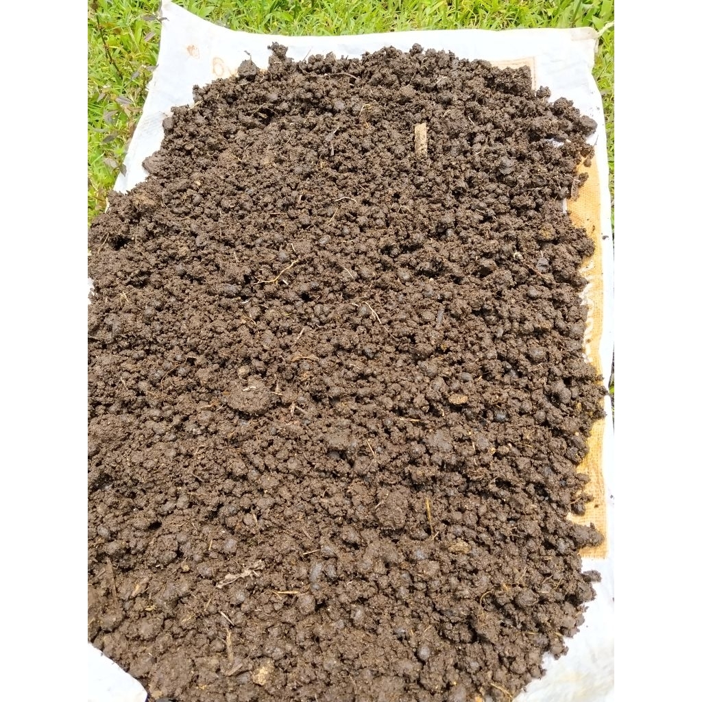 Pupuk Kohe Kambing