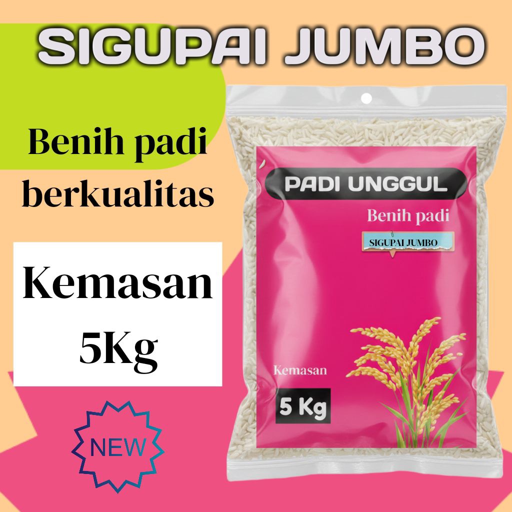 BIBIT PADI UNGGUL SIGUPAI JUMBO KUALITAS PREMIUM KEMASAN 5 KG