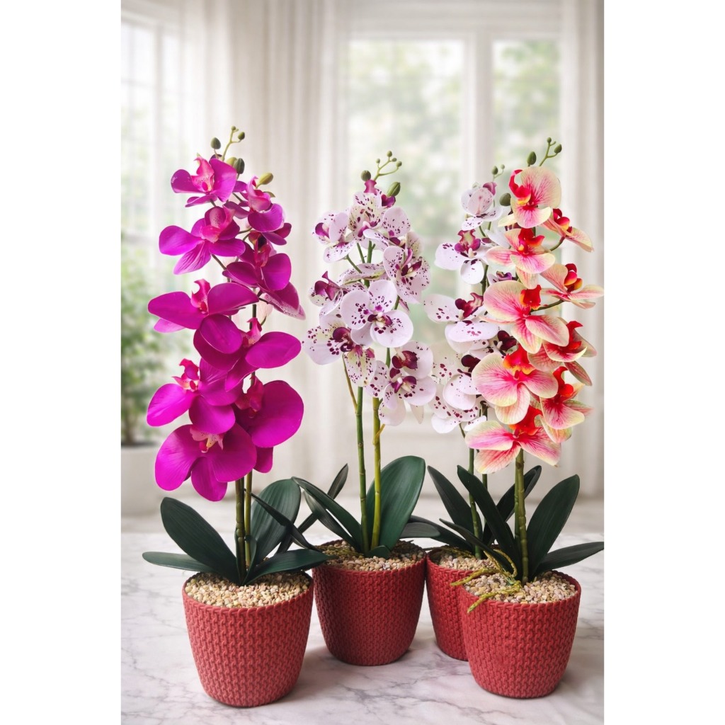 Bunga Anggrek Hias / Anggrek Hias/ Bunga Hias Anggrek Artificial