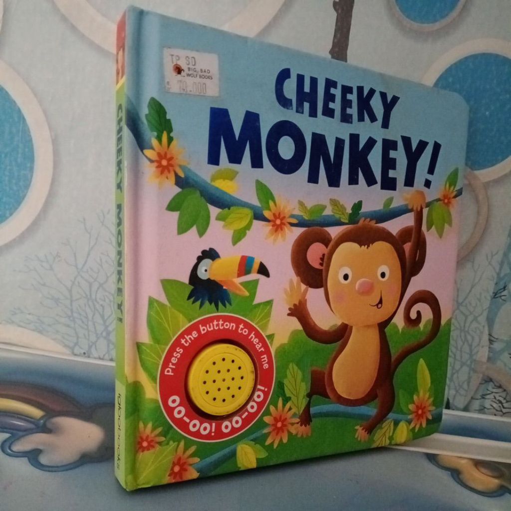 QUIDDITCH THROUGH THE AGES