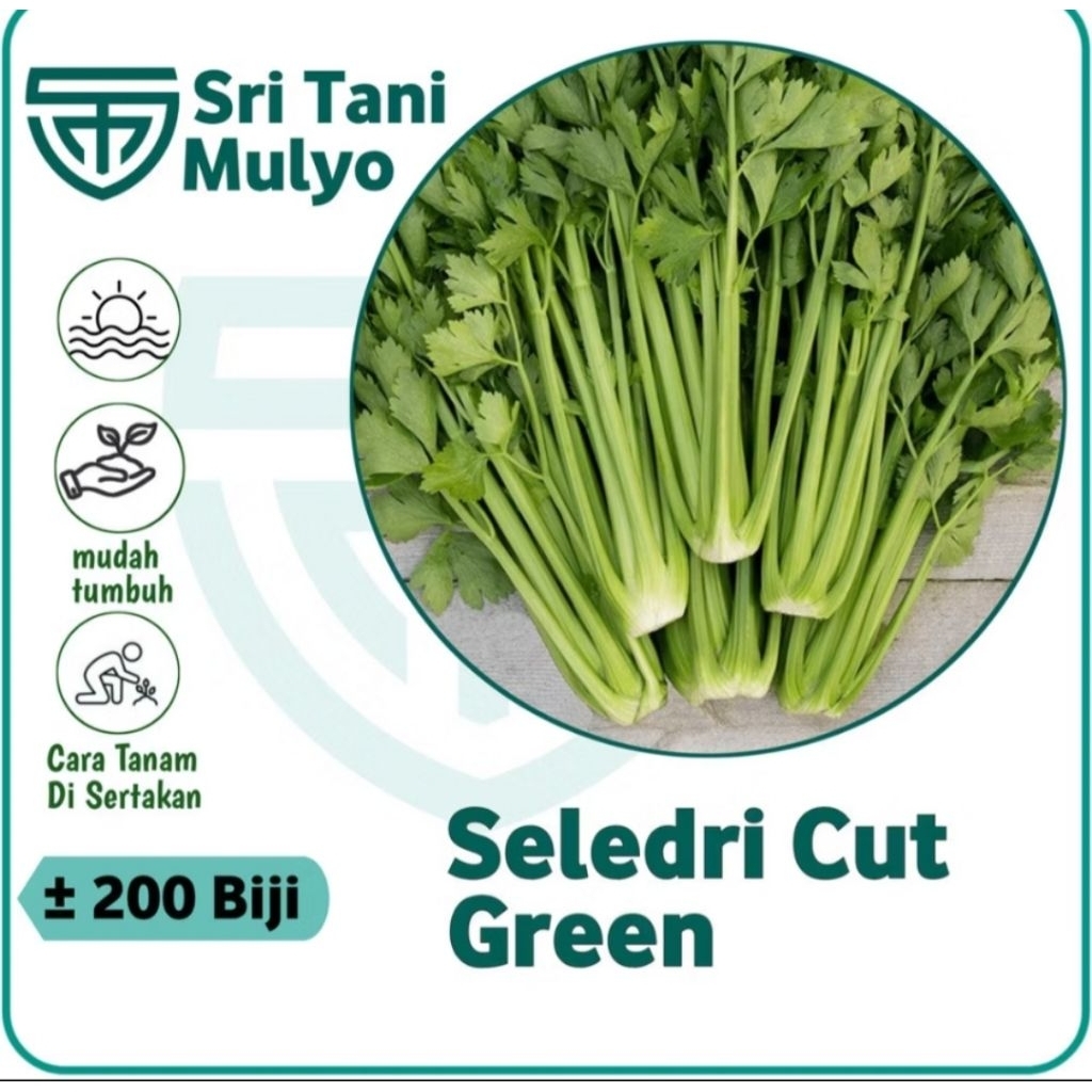 200 Biji -Benih Seledri Import / Celery CutGreen F1-Bibit Sayuran - Benih Sayuran Seledri