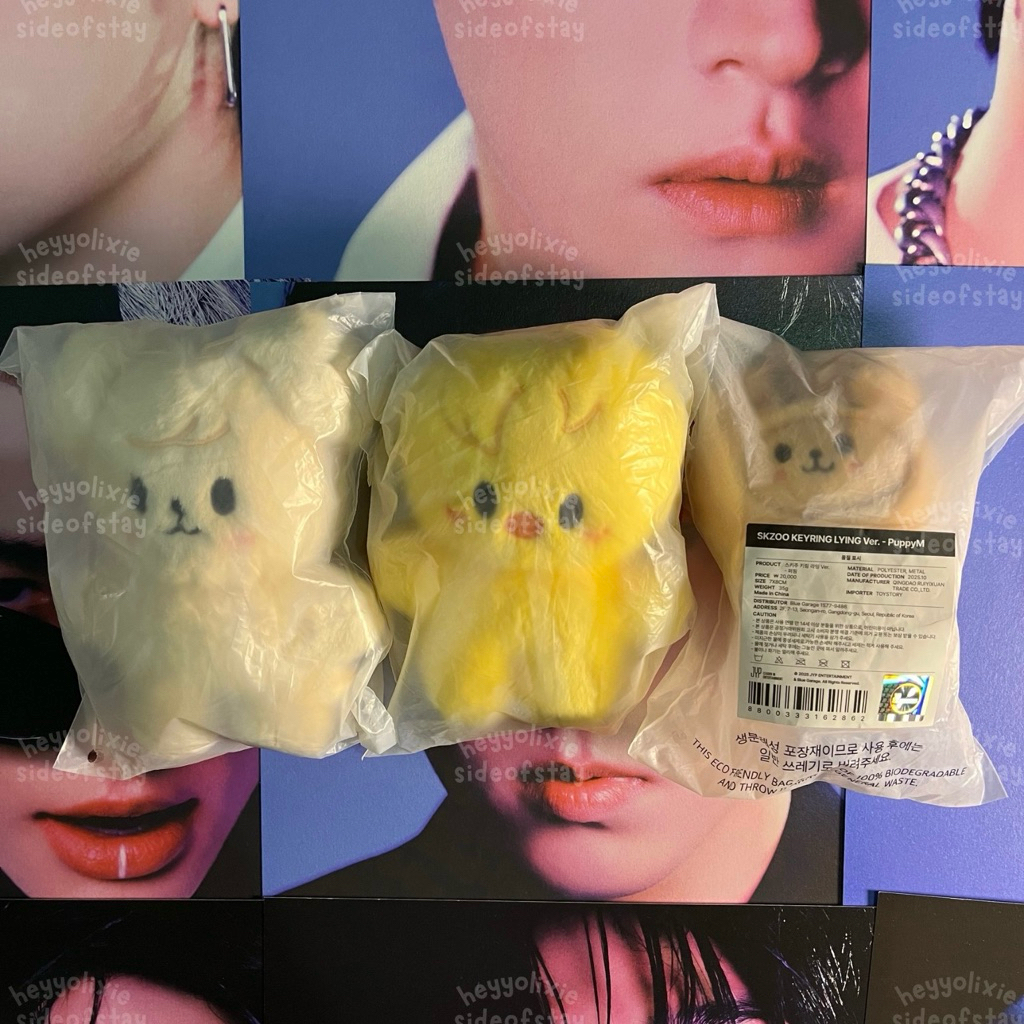 skzoo standing plush bbokari puppym keyring lying puppym