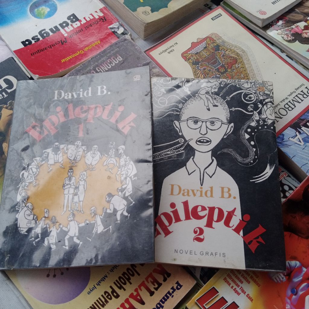 EPILEptik/novel grafis  David B, gramedia