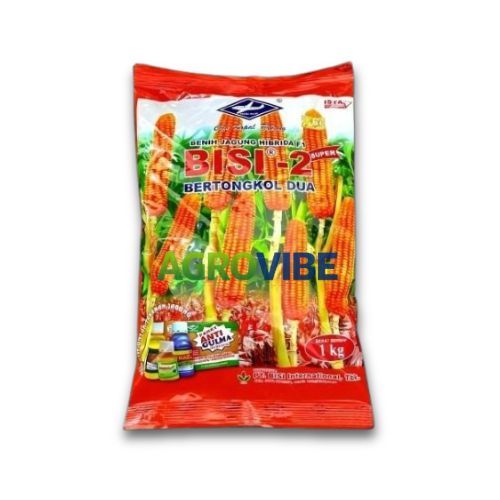 SUPER  BIBIT BENIH JAGUNG BISI 2 SUPER TONGKOL 2 HIBRIDA BERAT 1 KG COD ORIGINAL100%