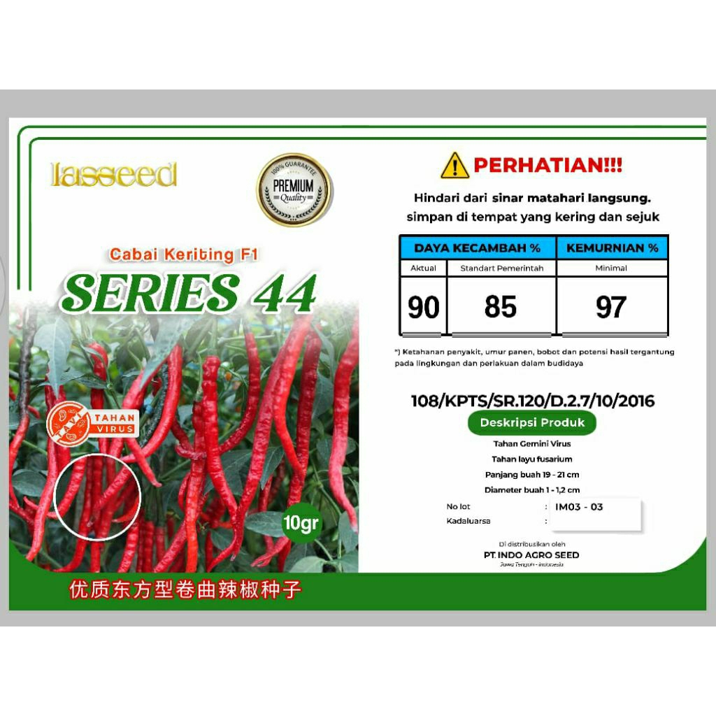 benih Cabe kriting f1