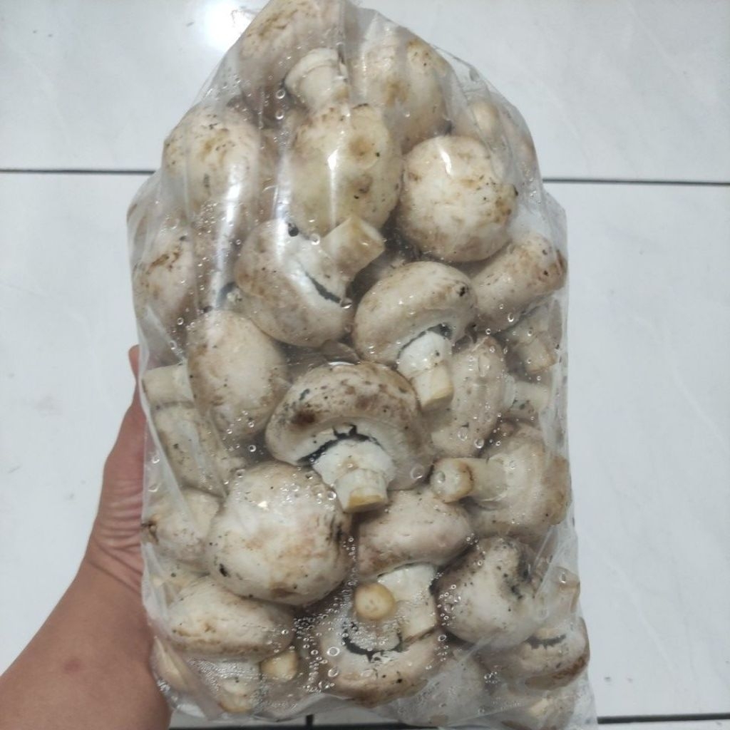 CHAMPIGNION/ CHAMPIGNON FRESH MUSHROOM JAMUR KANCING FRESH 1KG