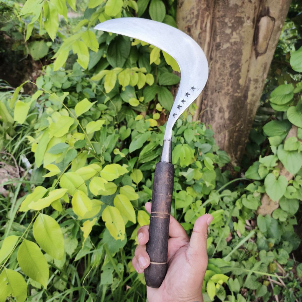 arit rumput bintang 5 versi lebih kecil 40cm baja asli madura