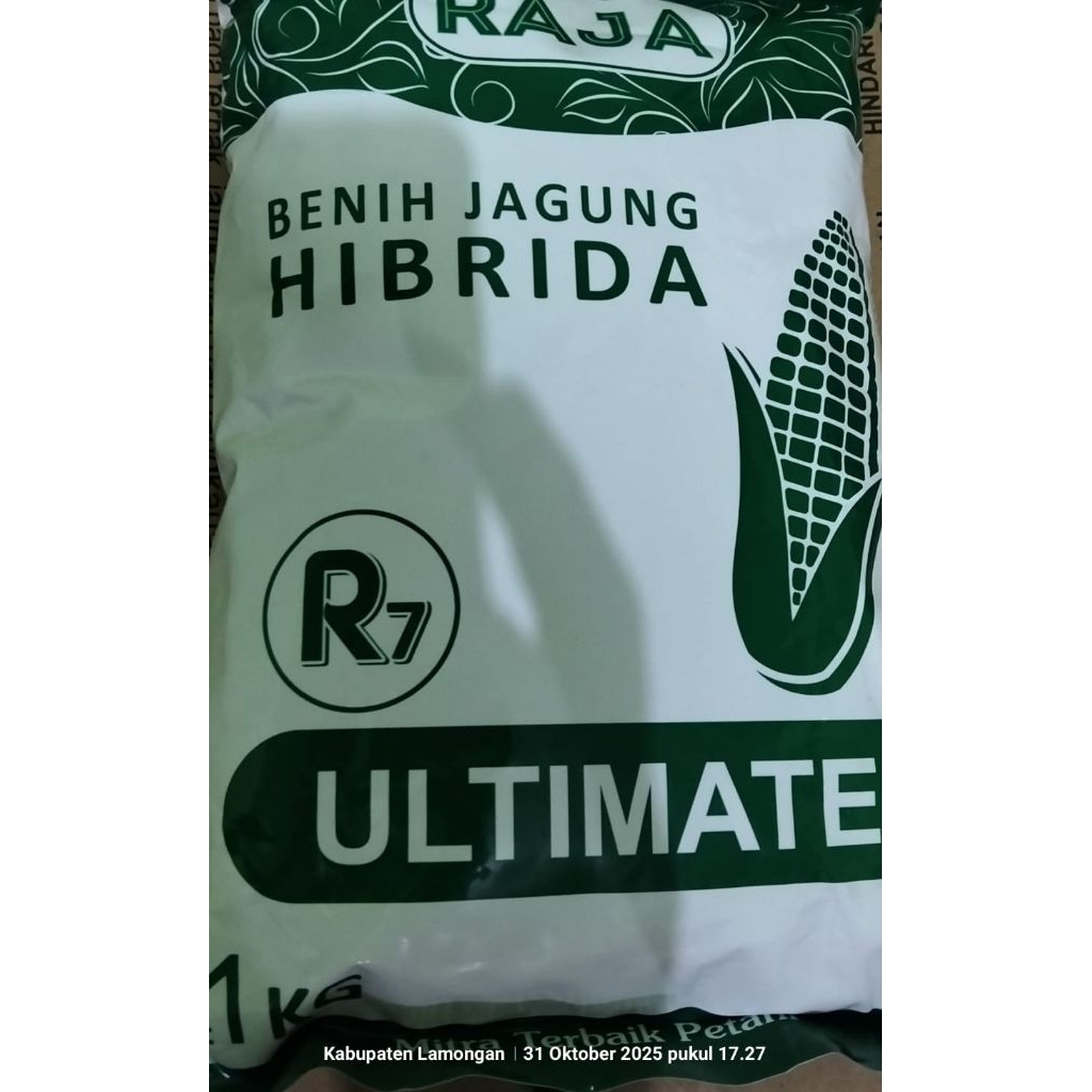 BENIH JAGUNG RAJA ULTIMATE R7 1 KG
