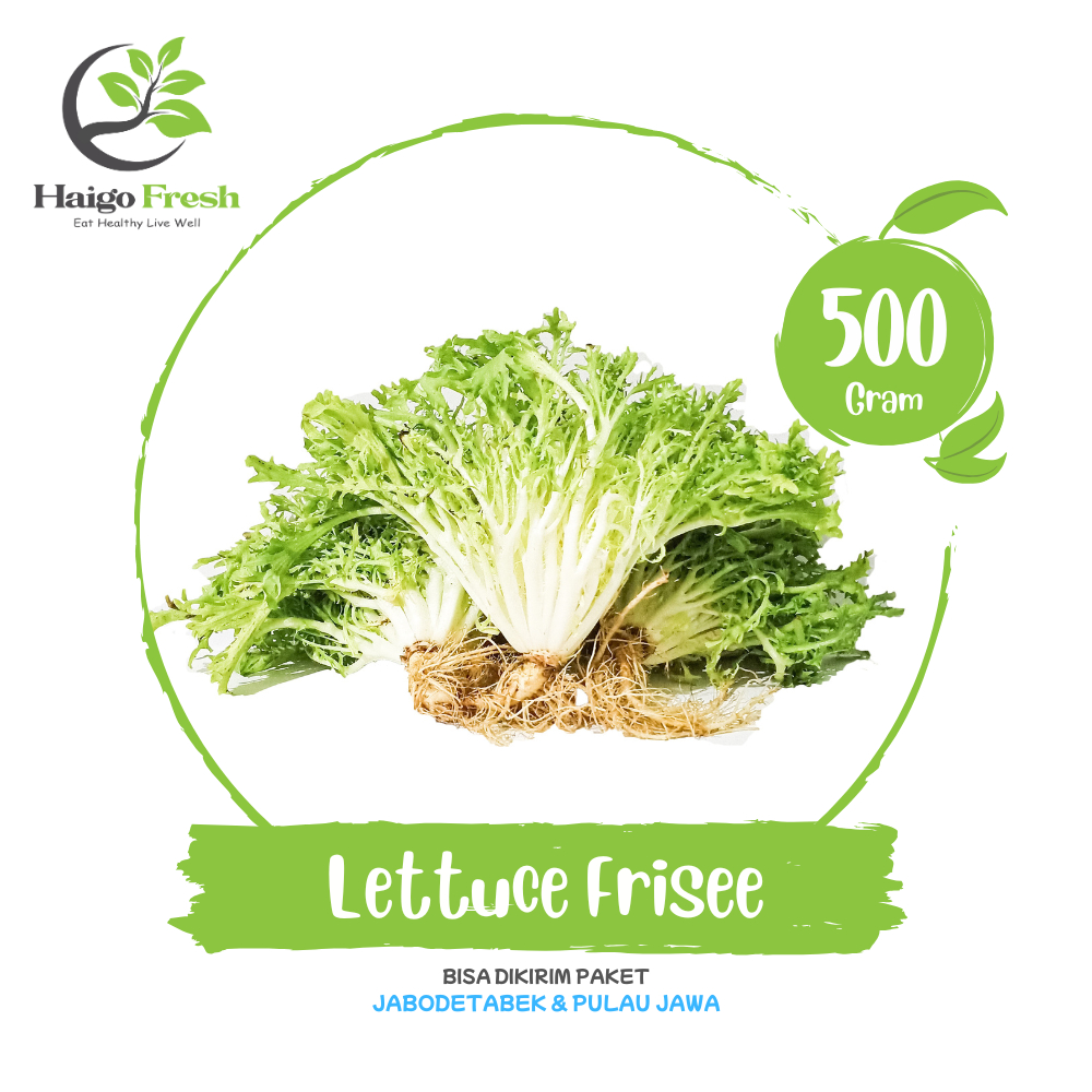 Lettuce Frisee Endive 500 Gr | Haigo Fresh