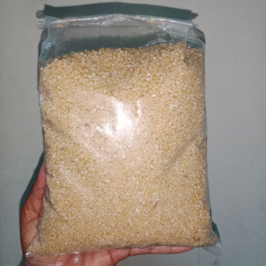 Oyek /Tiwul/ Nasi singkong