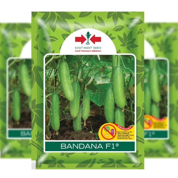 BENIH TIMUN BANDANA F1