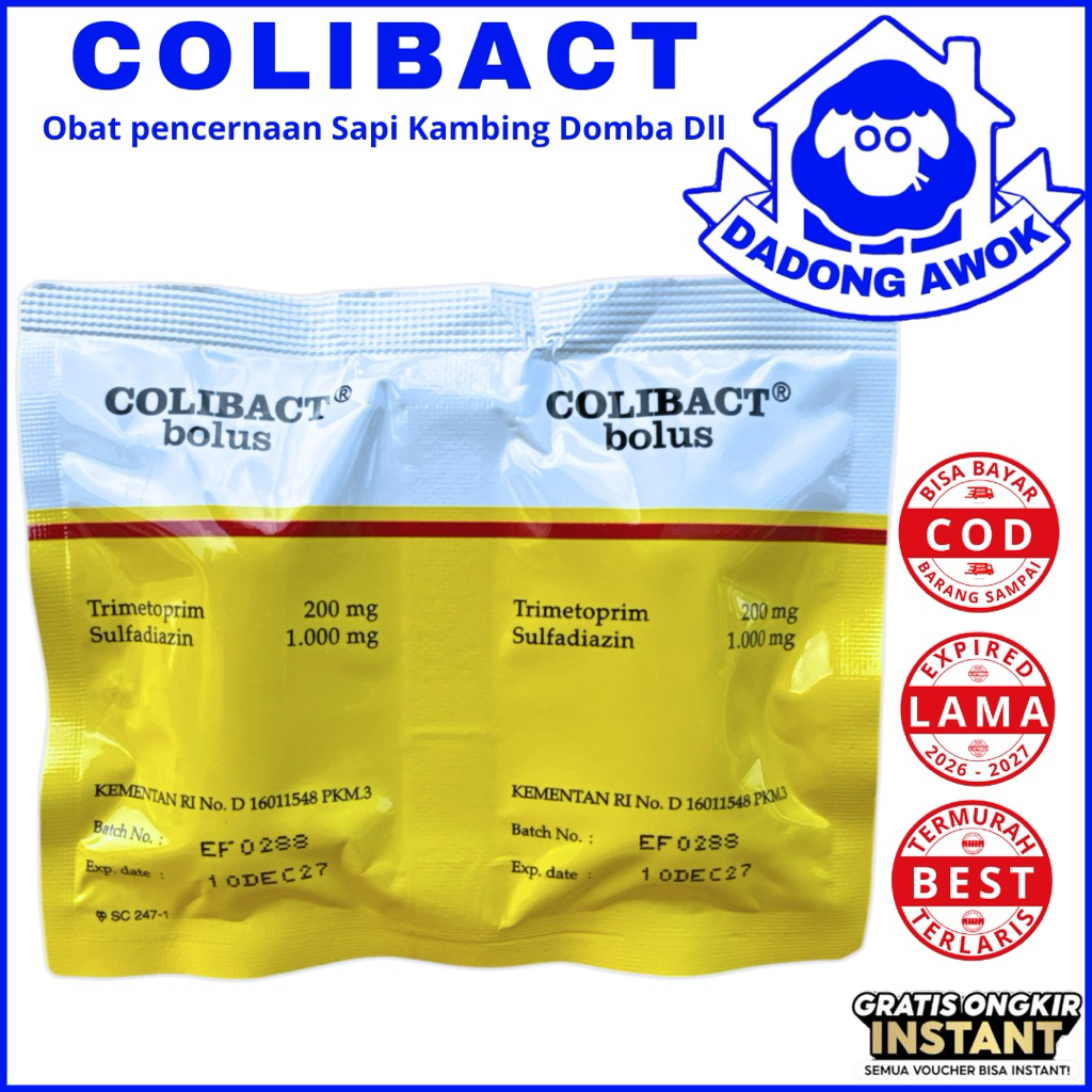 COLIBACT BOLUS (ecer 1 BOLUS) UNTUK DIARE MENCRET PENCERNAAN SAPI KAMBING - INDUK BARU MELAHIRKAN