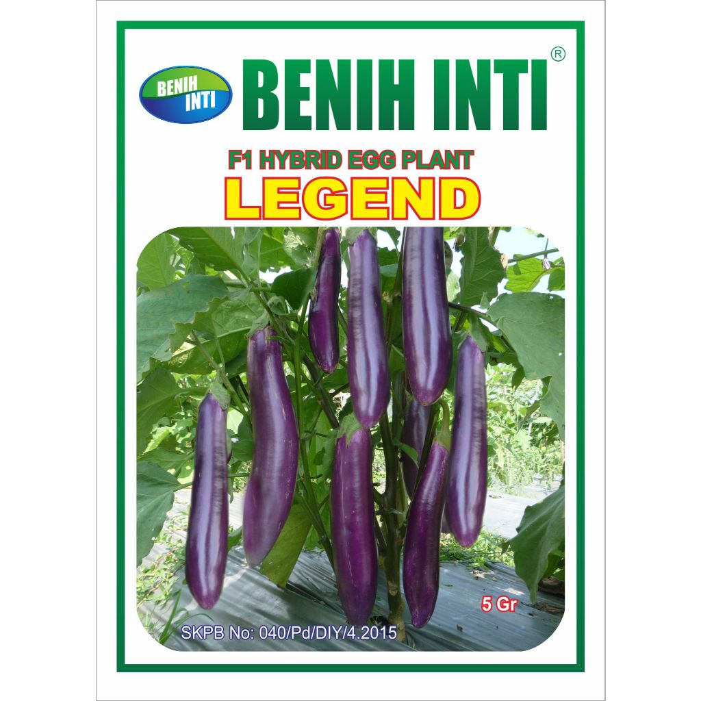 Benih Terong Ungu Panjang-benih Inti F1 Hybrid Eggplant Legend Isi 75 biji