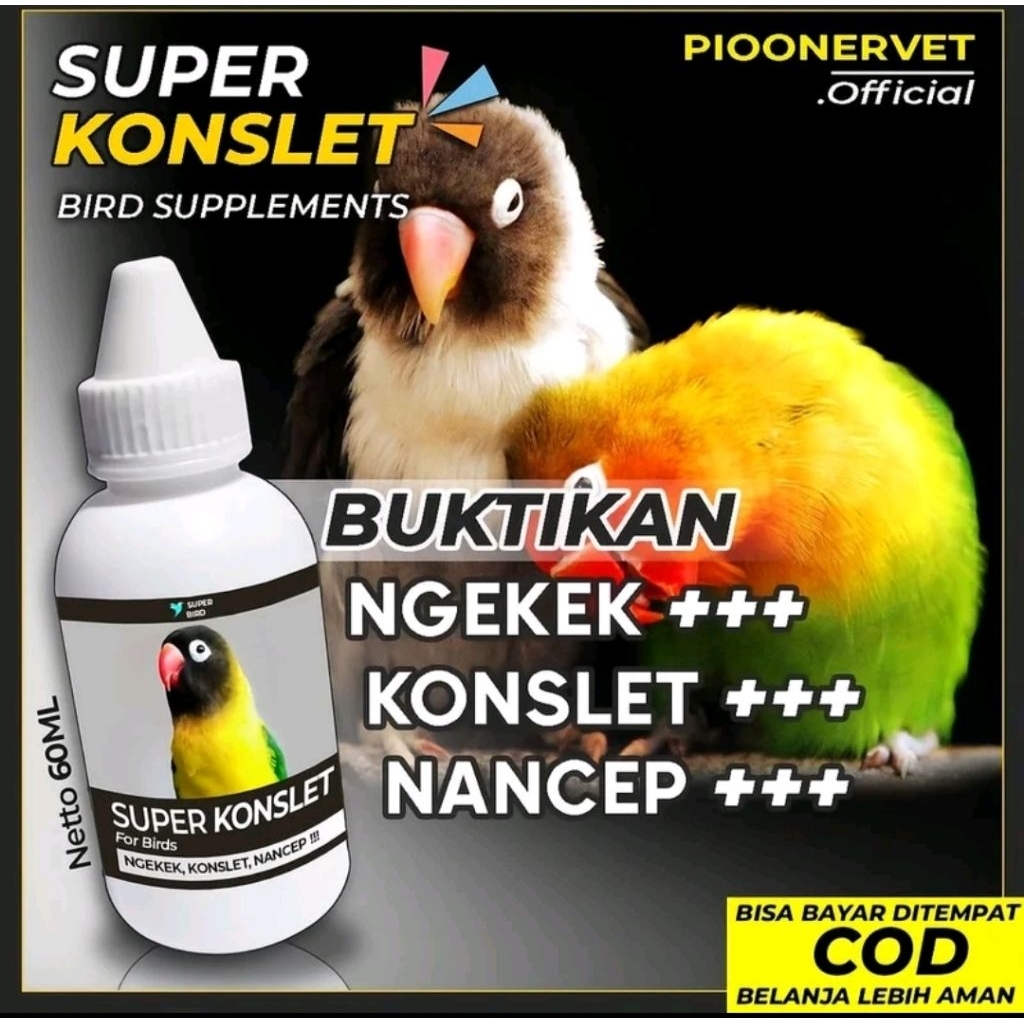 super Konslet lovebird