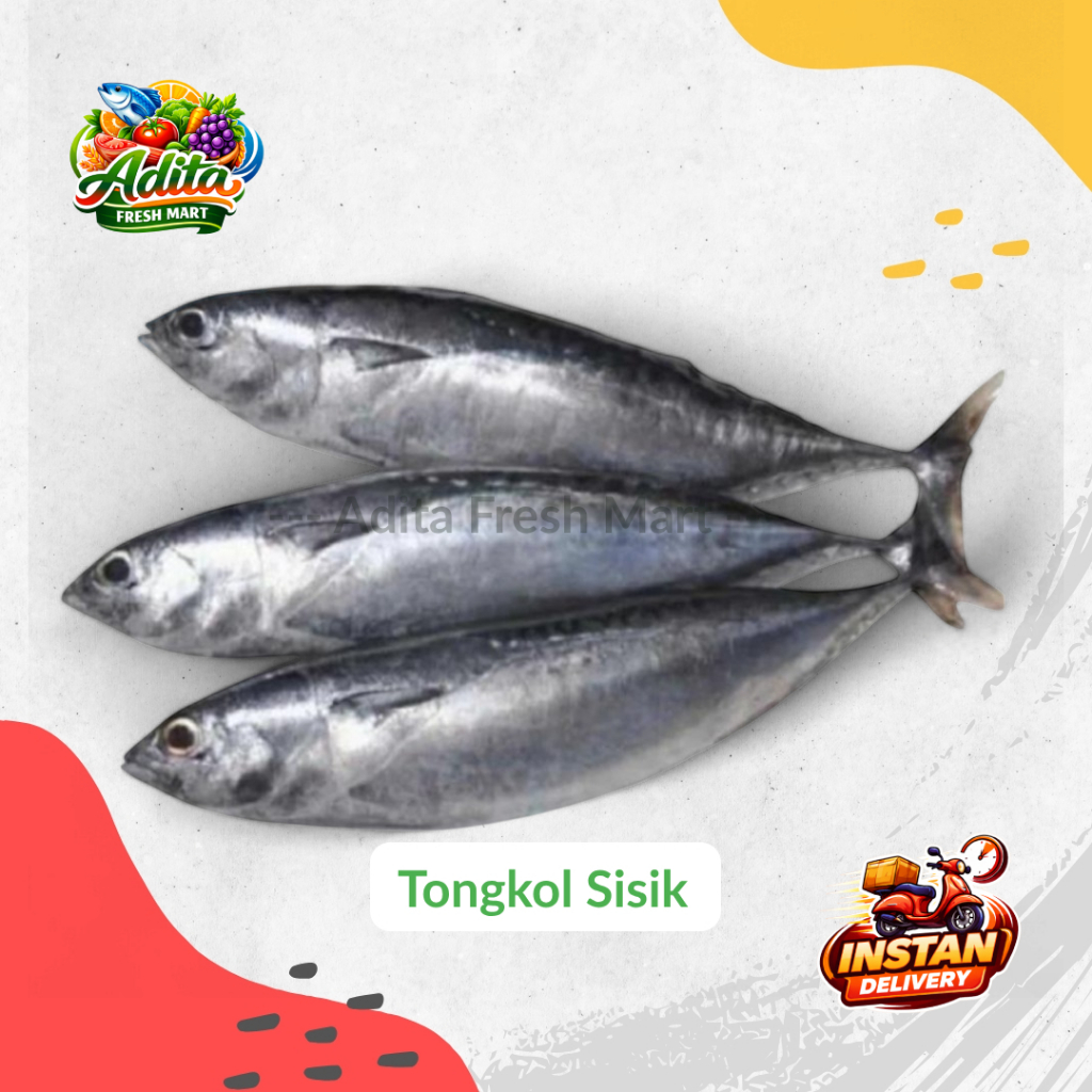 Ikan Tongkol Sisik Fresh Murah