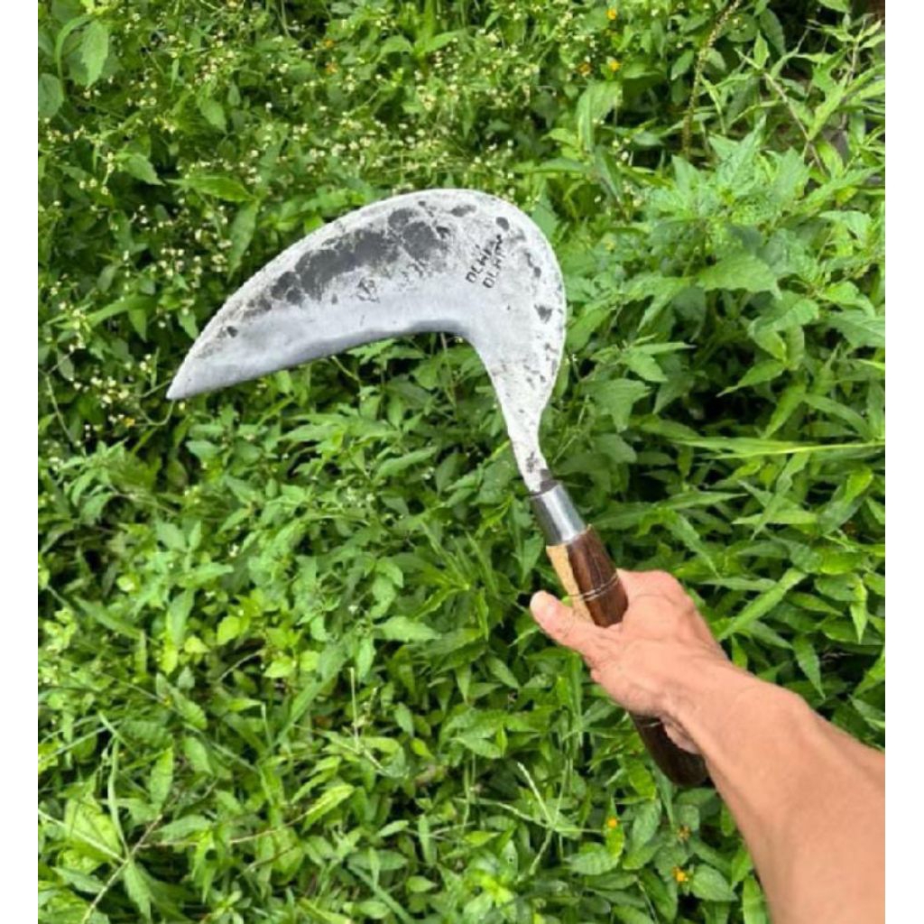 Arit Sabit cap dewi bintang