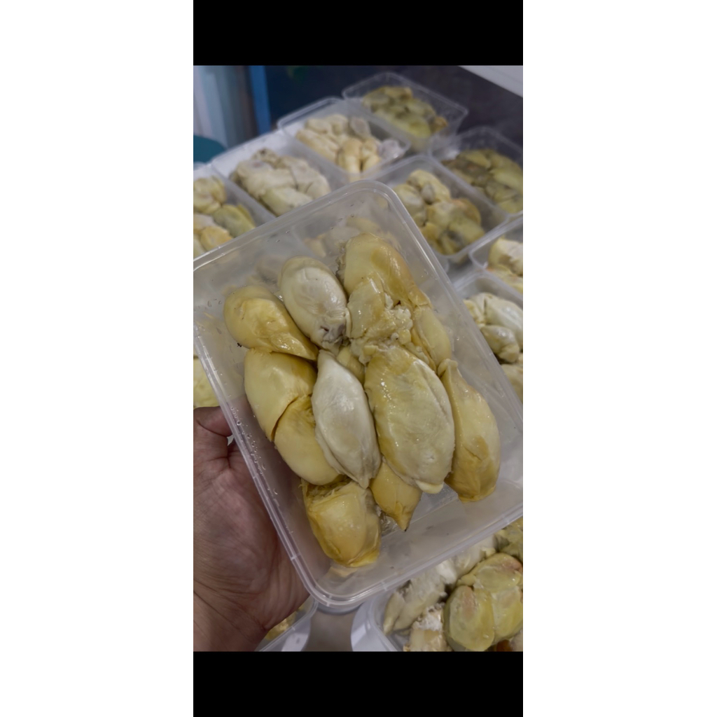 Durian Lokal Singaraja