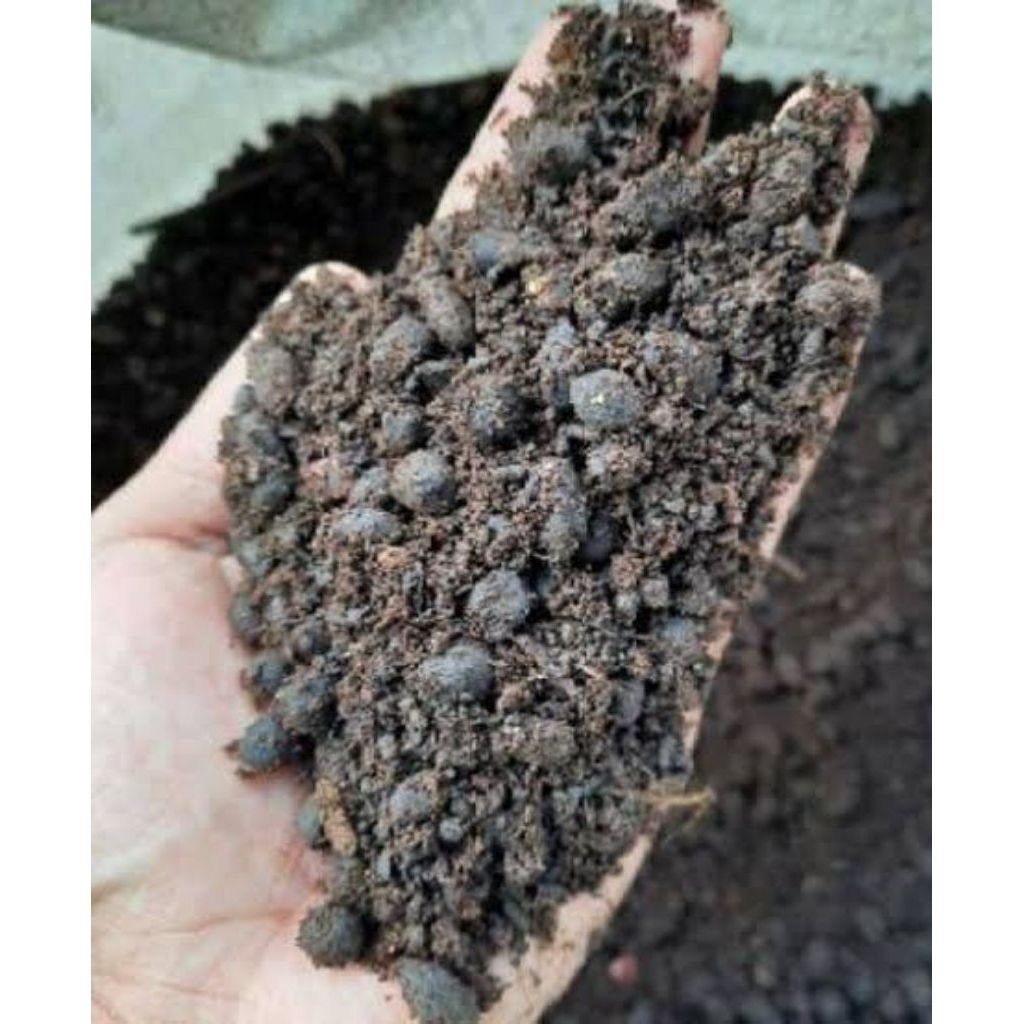 pupuk organik KOHE kambing