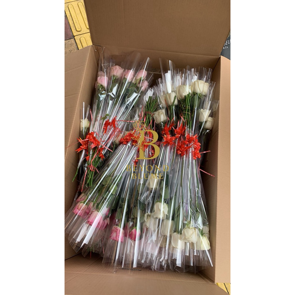 Bunga Mawar Asli 1 Tangkai