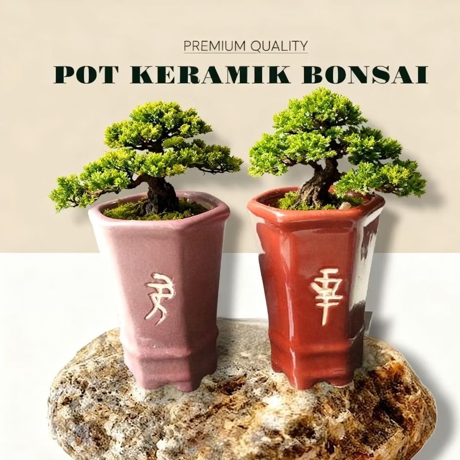 Pot Keramik Bonsai Segi 4 Premium Pot Tanaman Hias Pot Pohon Hias Bonsai