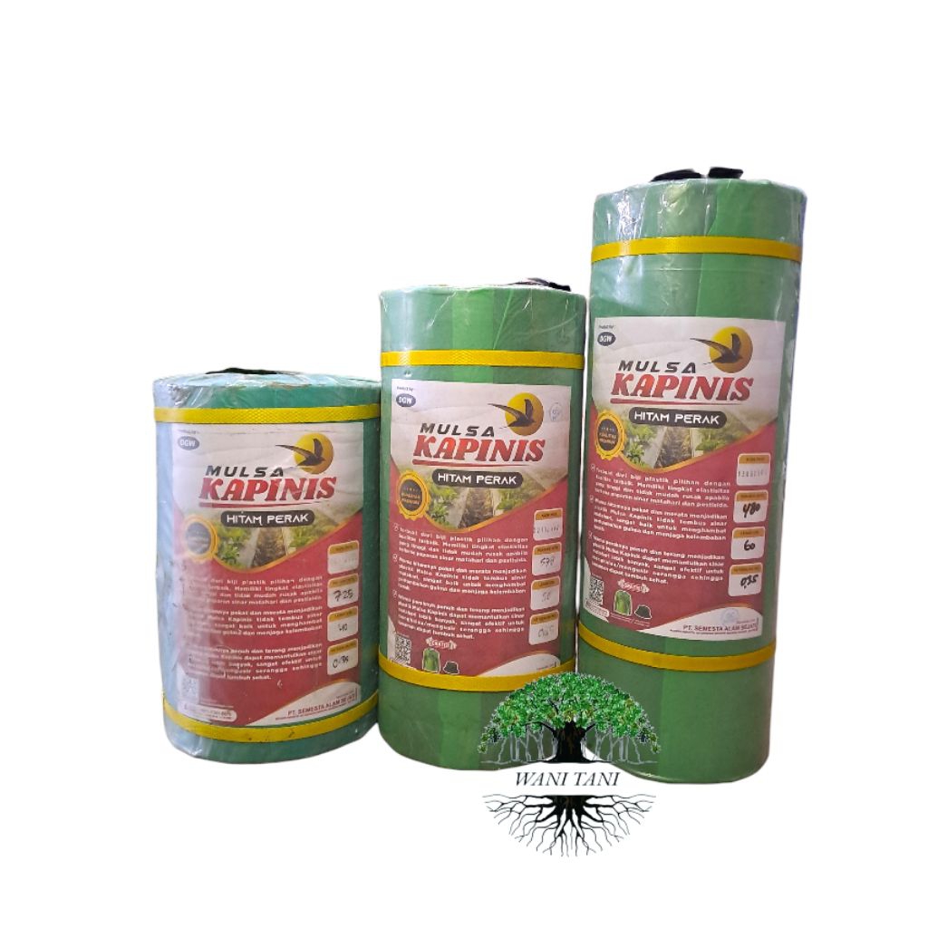 MULSA KAPINIS HITAM PERAK DGW
