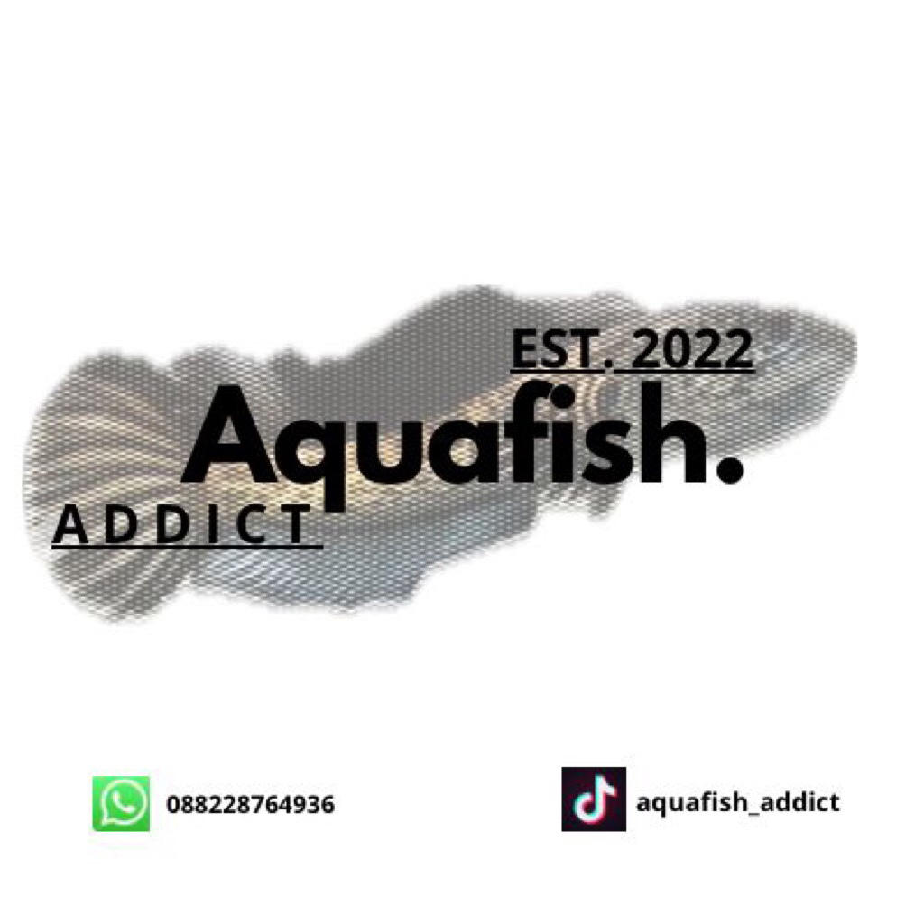 sticker auranti grade b