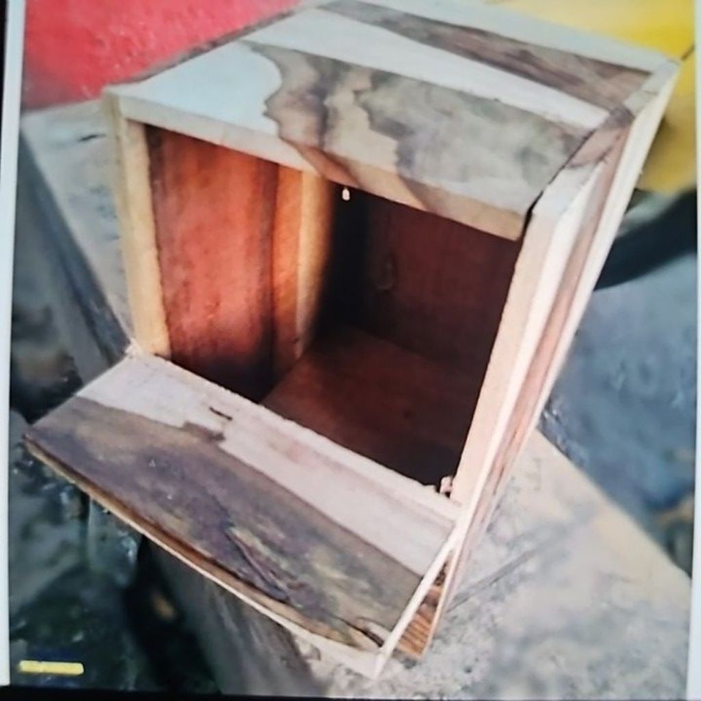 Glodok Murai . Sangkar Murai untuk breeding