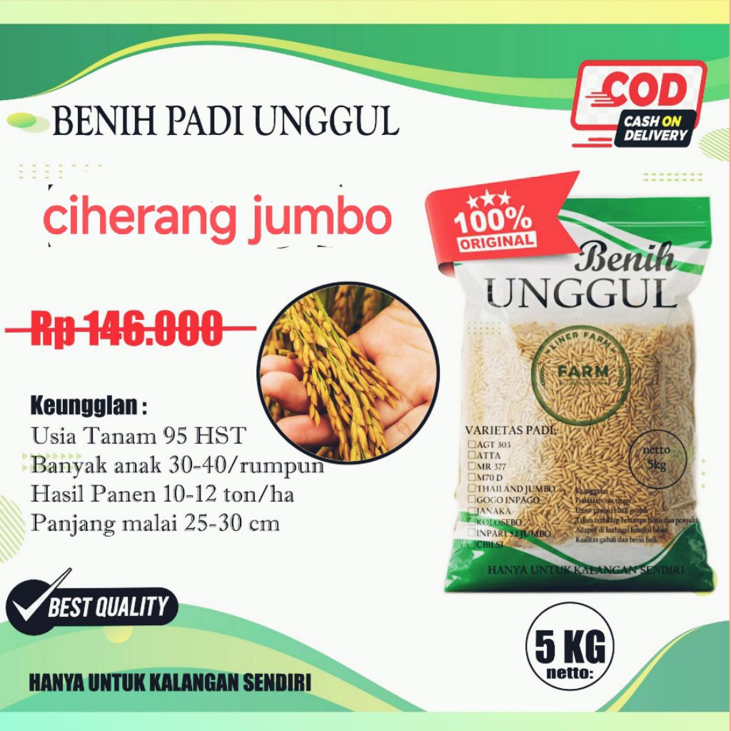 benih padi ciherang jumbo 5kg