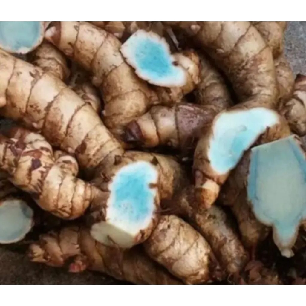 temu hitam temu Ireng 1 kg