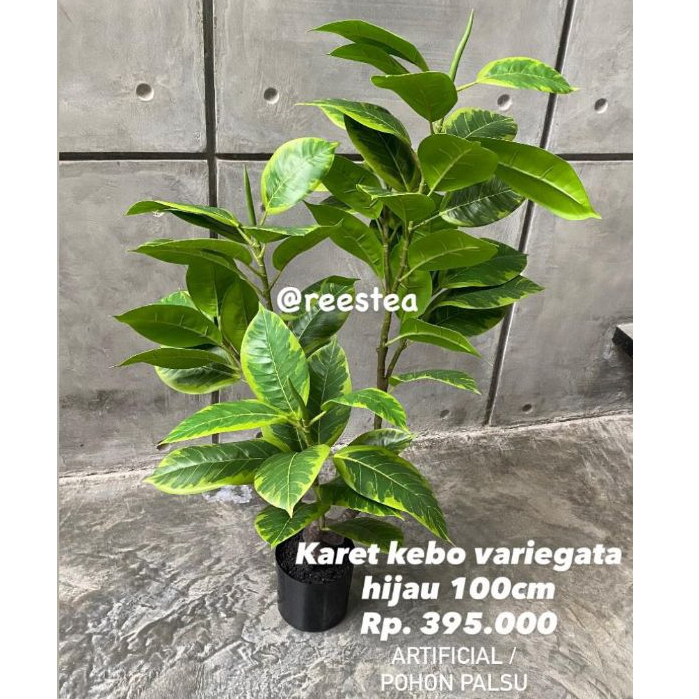 Pohon Hias Karet Kebo Tinggi 100cm / Pohon Hias Palsu / Artificial plant