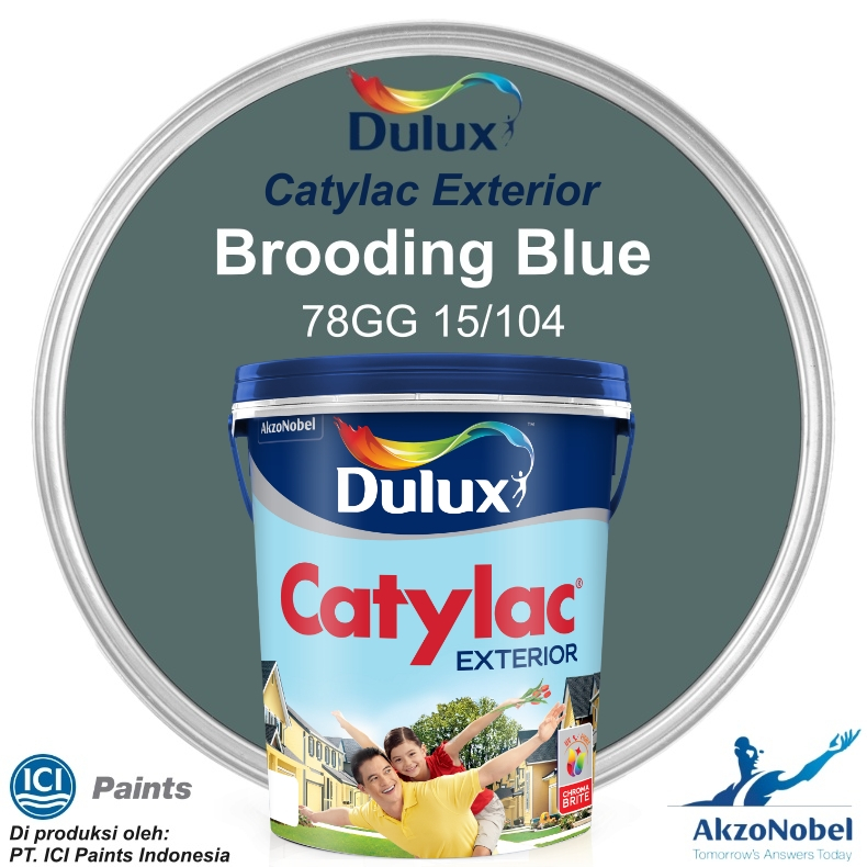 CAT DULUX CATYLAC EXTERIOR 5 KG - BROODING BLUE 78GG 15/104