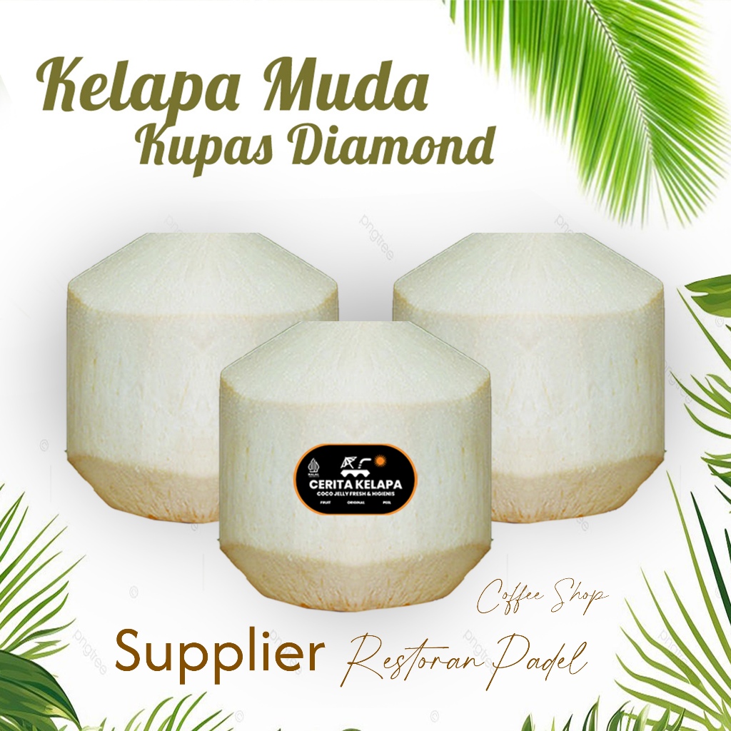 Kelapa Muda Kupas papas Kerucut Diamond Ala Thailand - Cerita Kelapa