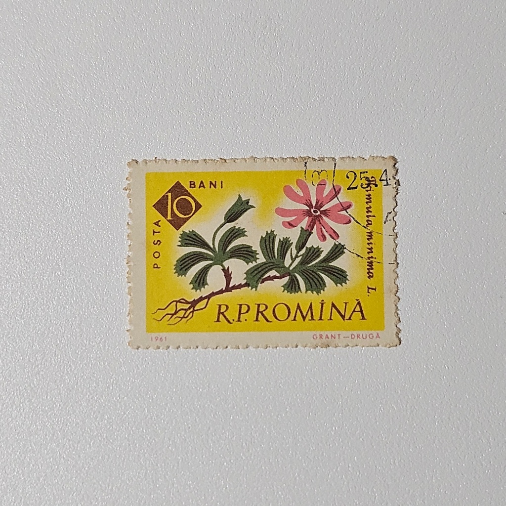 Perangko Flora Bunga: Carnation Dianthus (Perangko Klasik 1960)