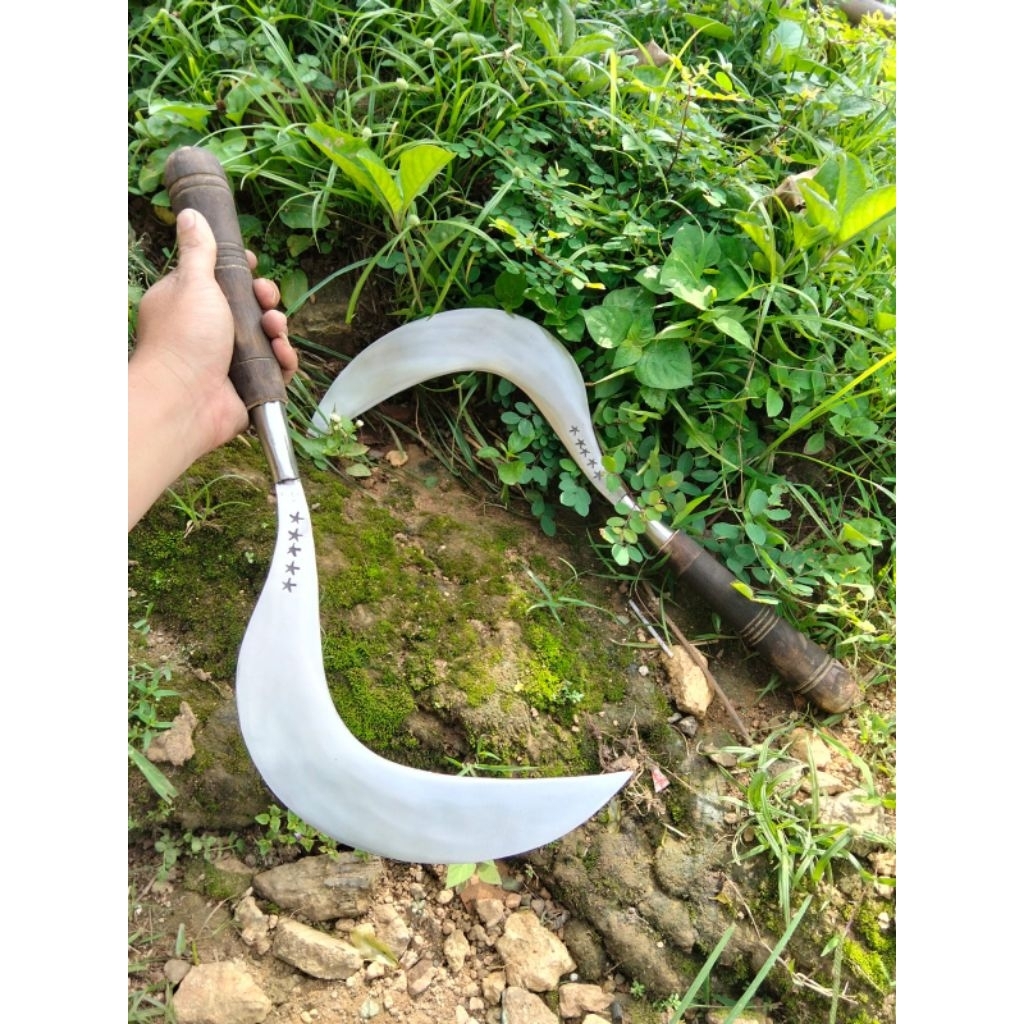 peralatan berkebun arit rumput bintang lima asli baja