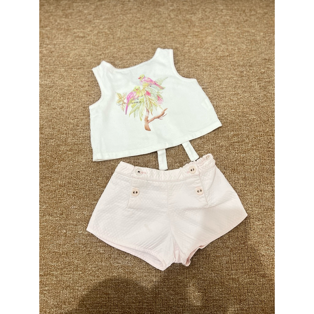 set brand gingersnaps