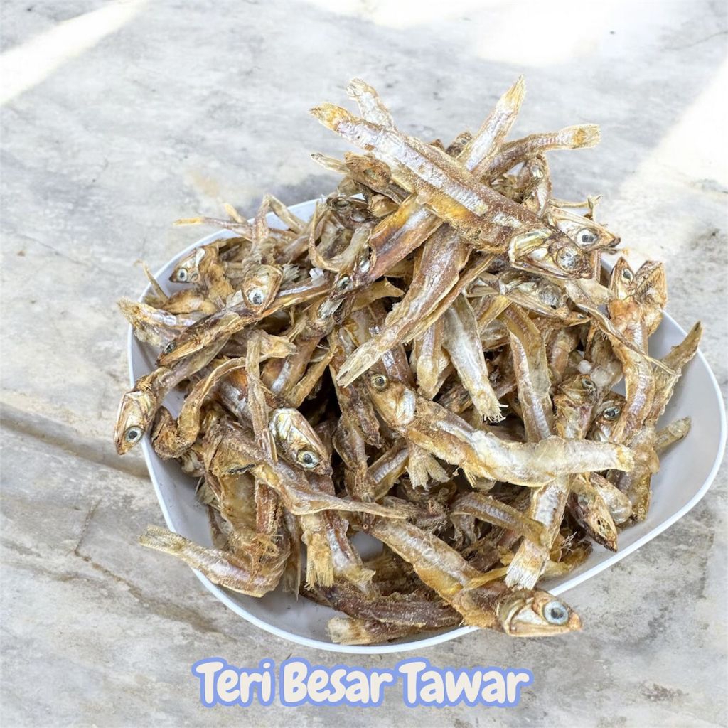 Ikan Teri Besar Tawar