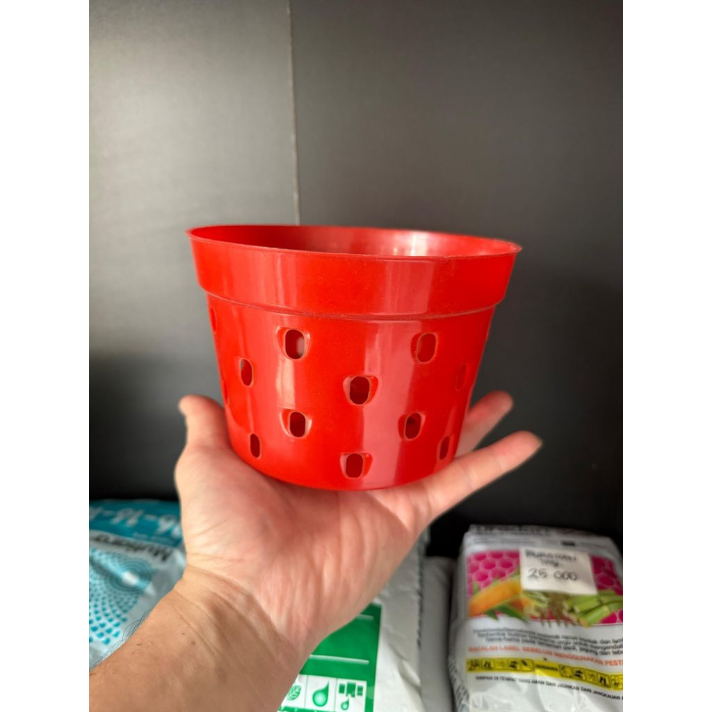 pot anggrek merah plastik