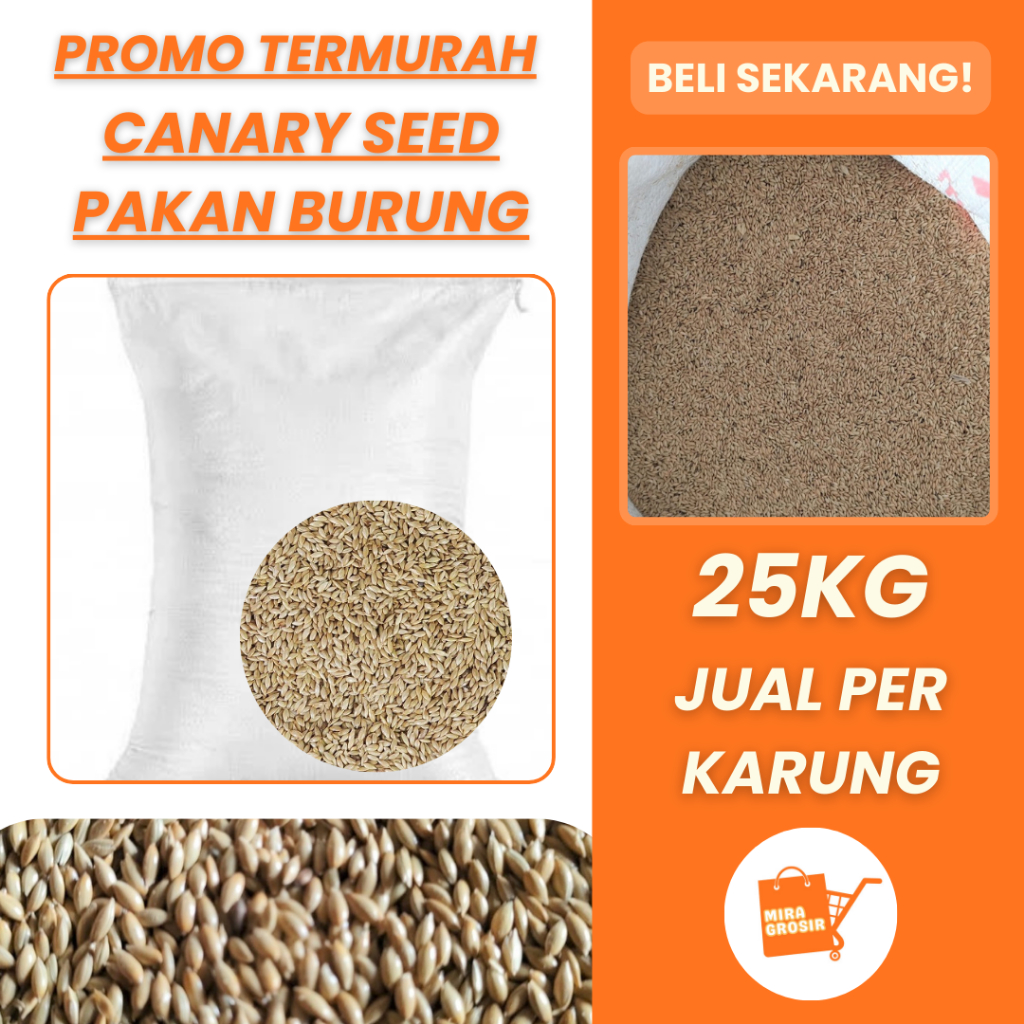 [KEMASAN KARUNG] Canary Seed 25kg Pakan Burung Berkualitas