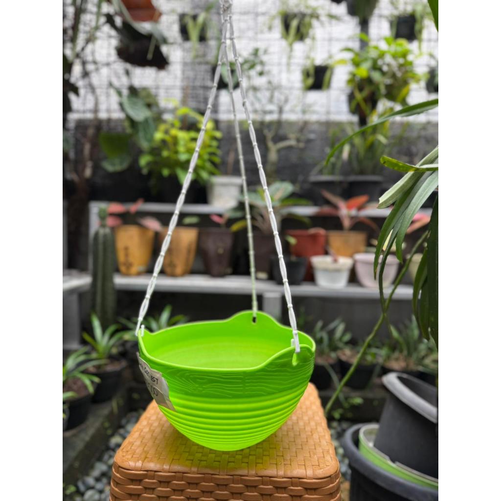 Pot Gantung Lovenia GGS-8852 Warna-Warni Plastik Tebal